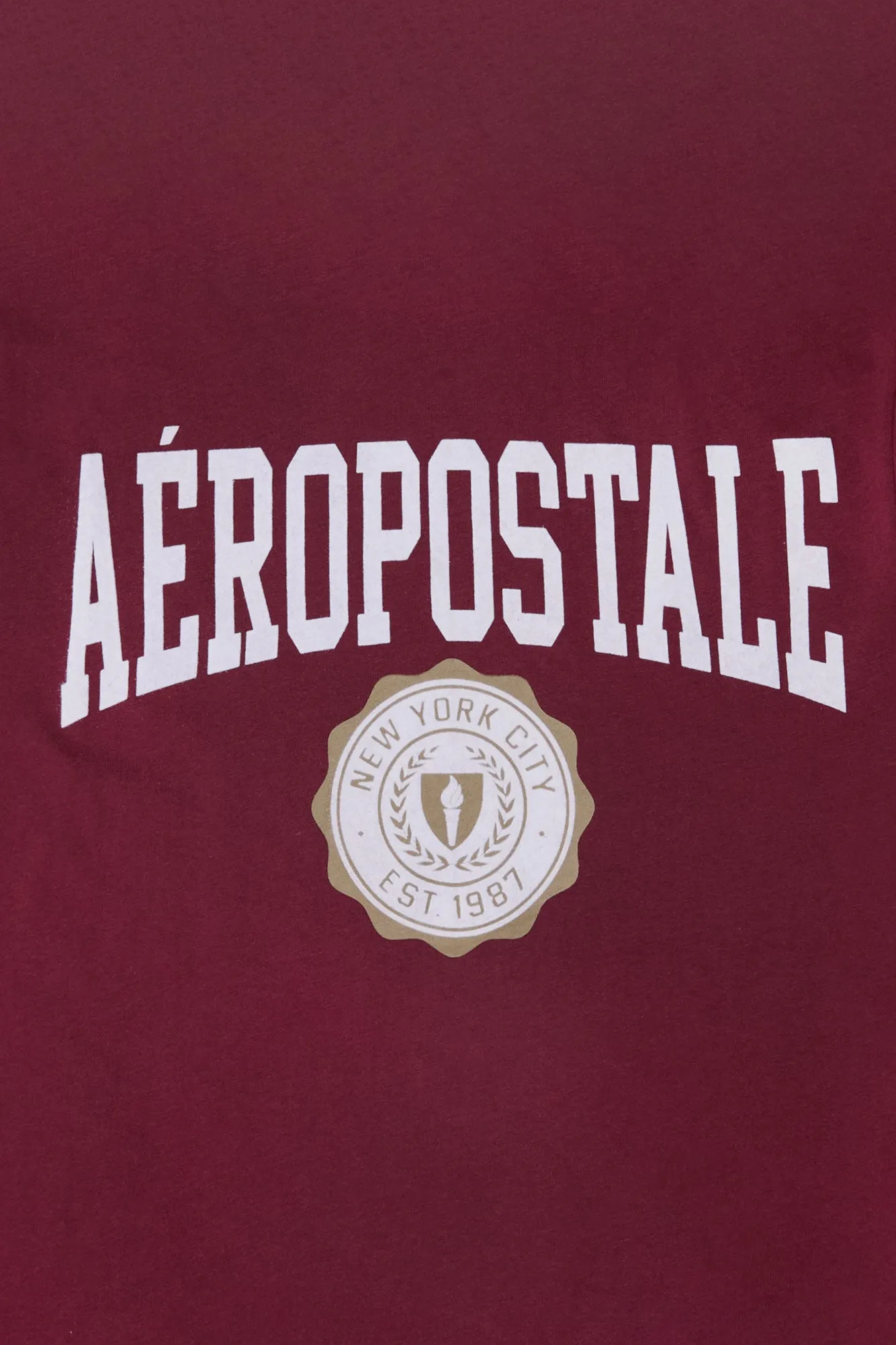 Aropostale Graphic Flocked Tee