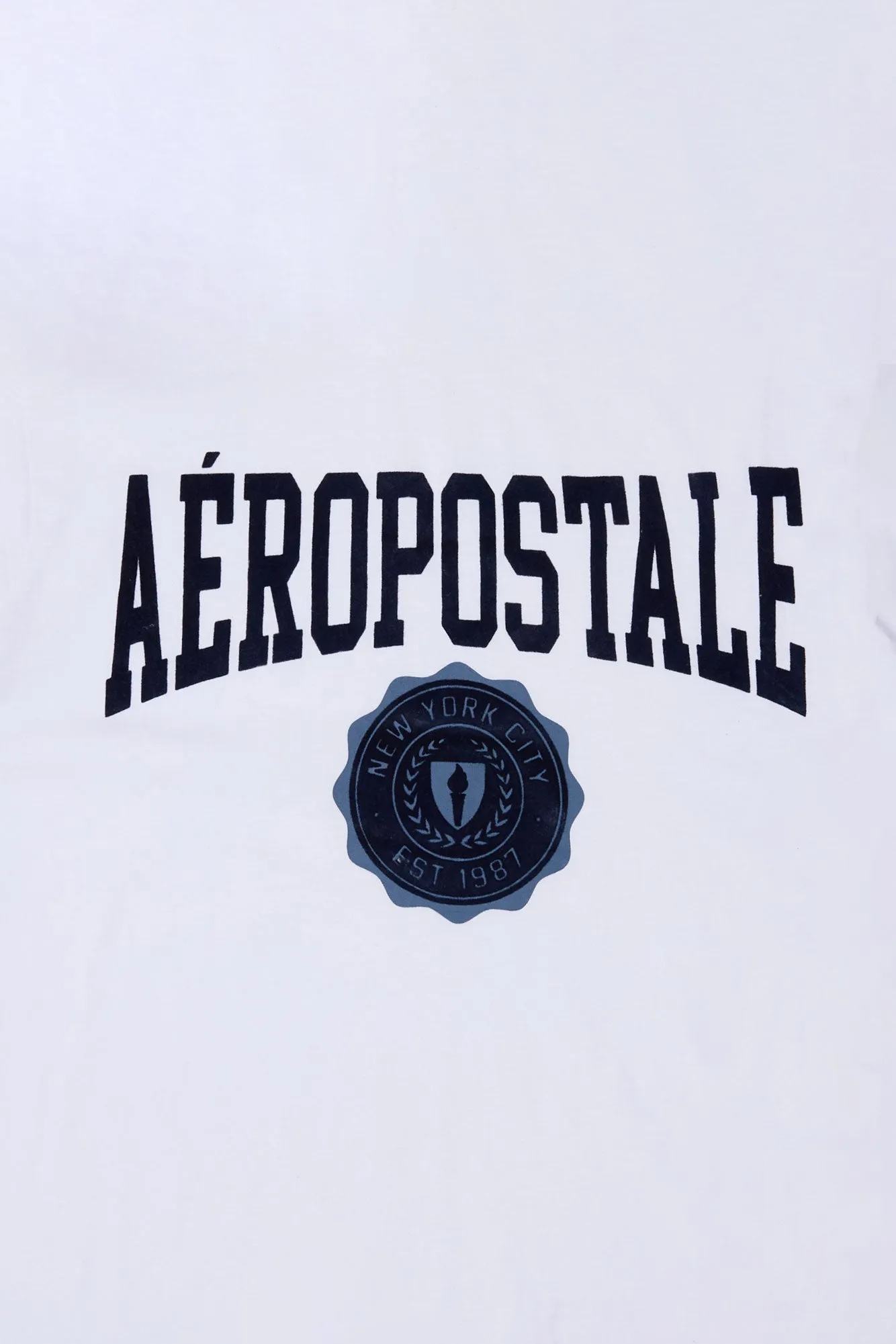 Aropostale Graphic Flocked Tee