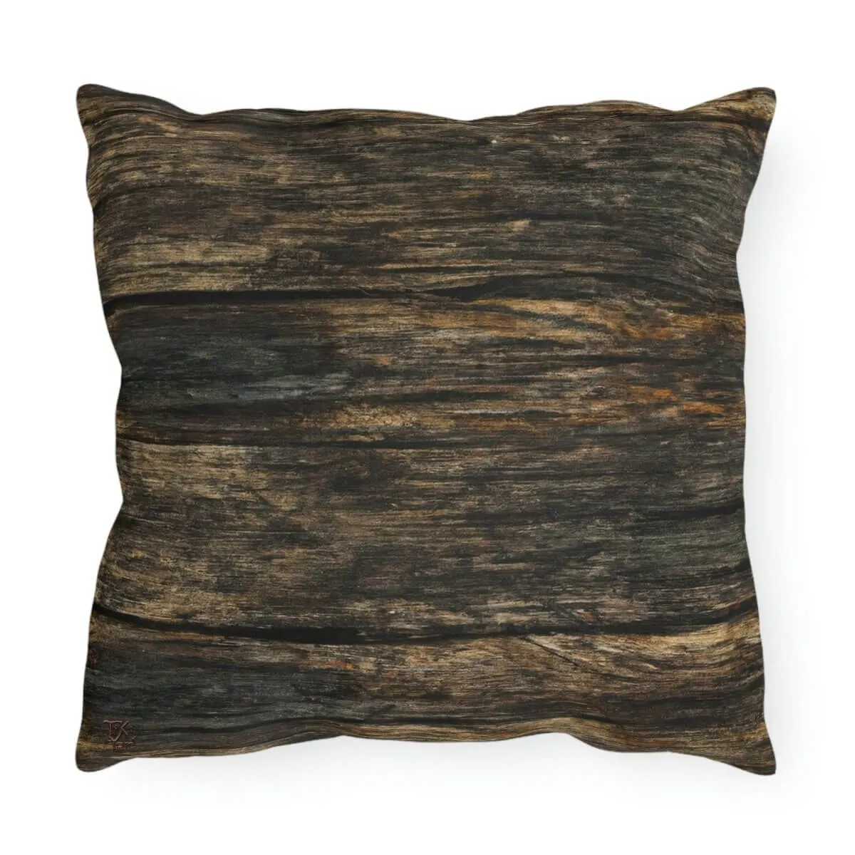 Discovery - Outdoor Throw Pillow