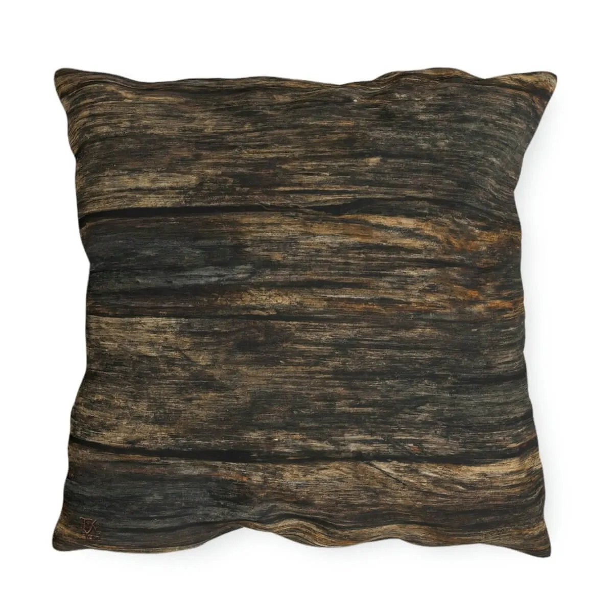 Discovery - Outdoor Throw Pillow