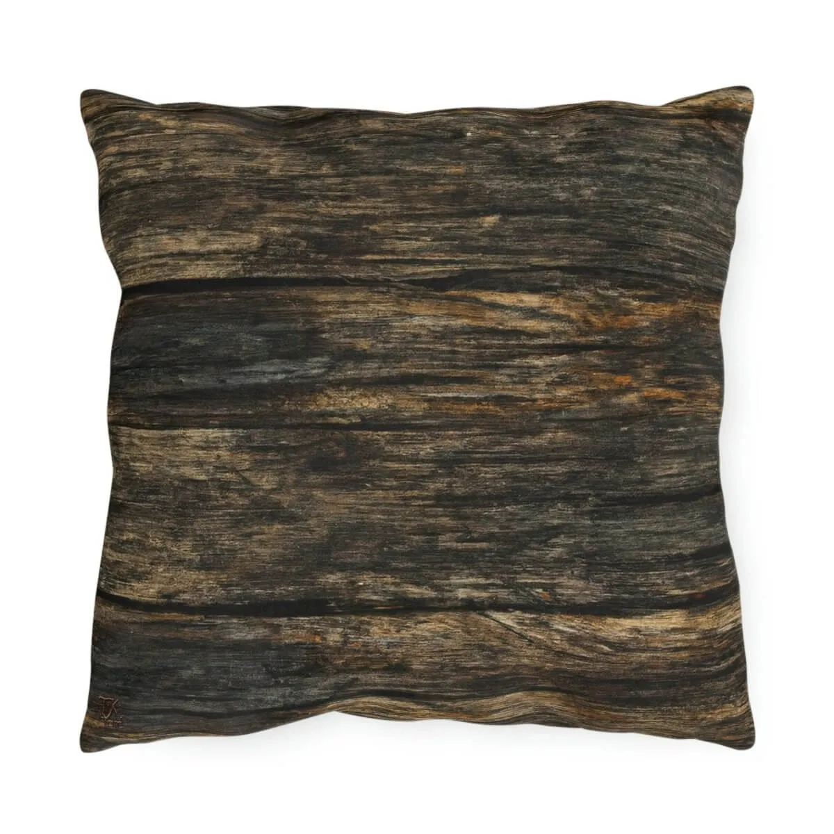 Discovery - Outdoor Throw Pillow