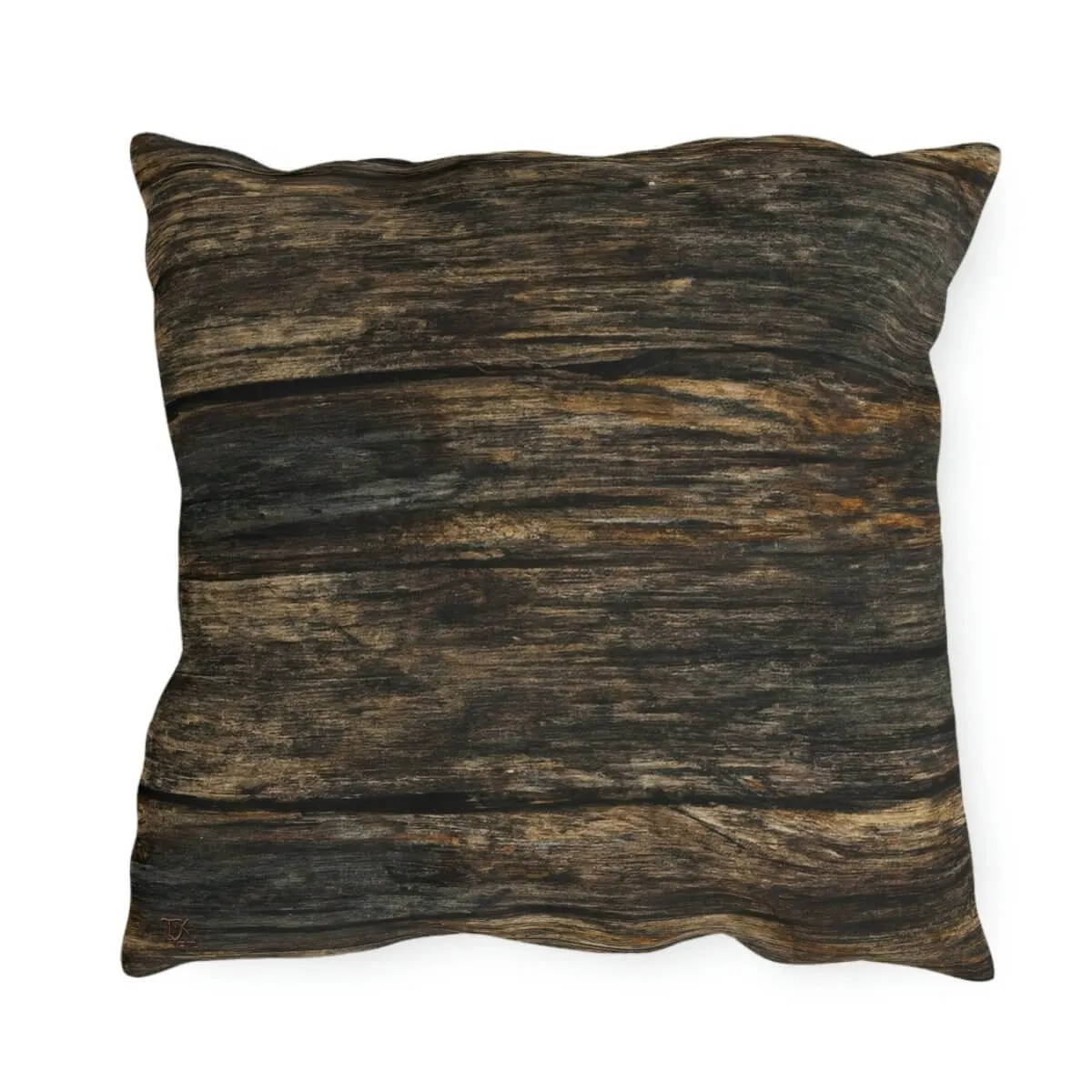 Discovery - Outdoor Throw Pillow