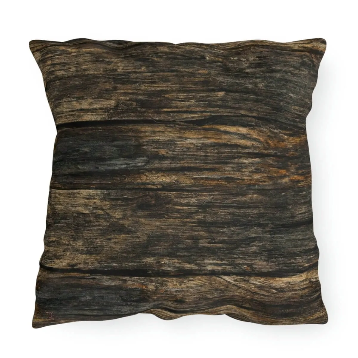 Discovery - Outdoor Throw Pillow
