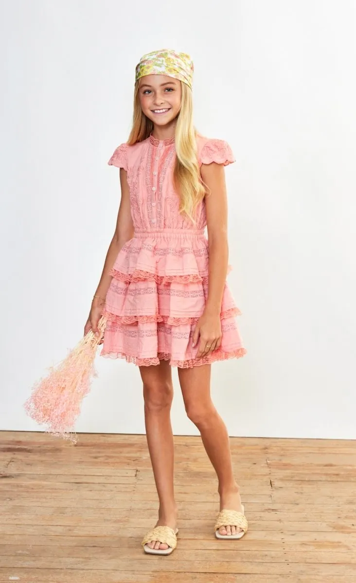 GINA EMBROIDERED DRESS