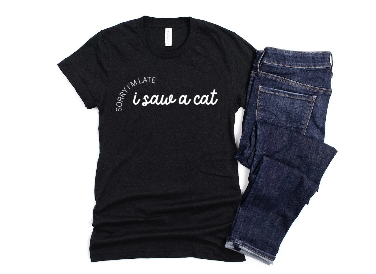 I Saw A Cat T-Shirt