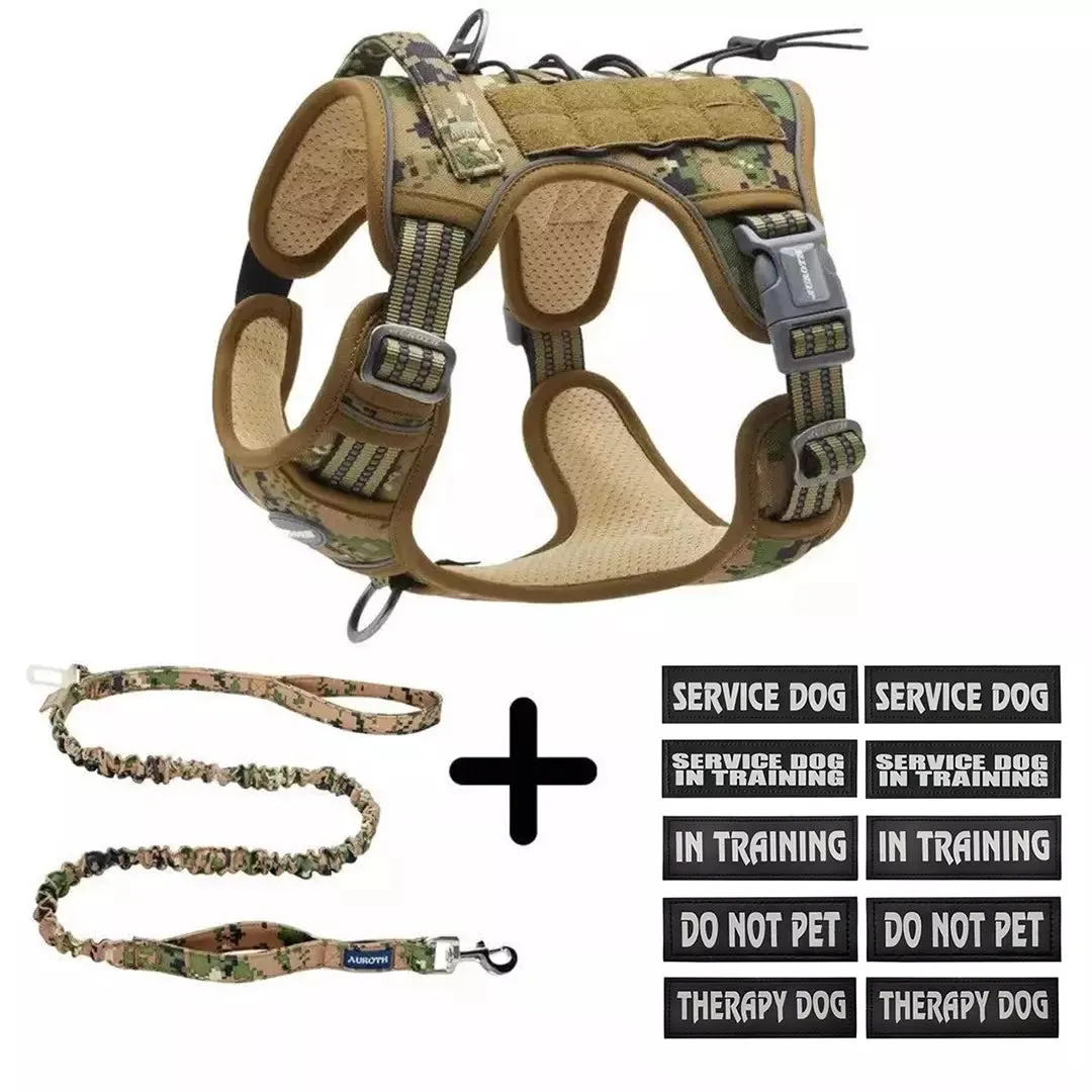 No-Pull Harness Starter Pack V1