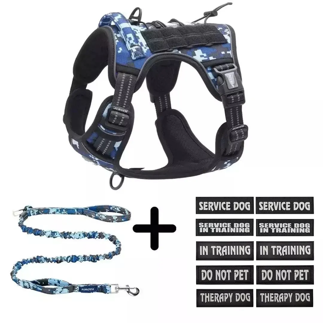 No-Pull Harness Starter Pack V1