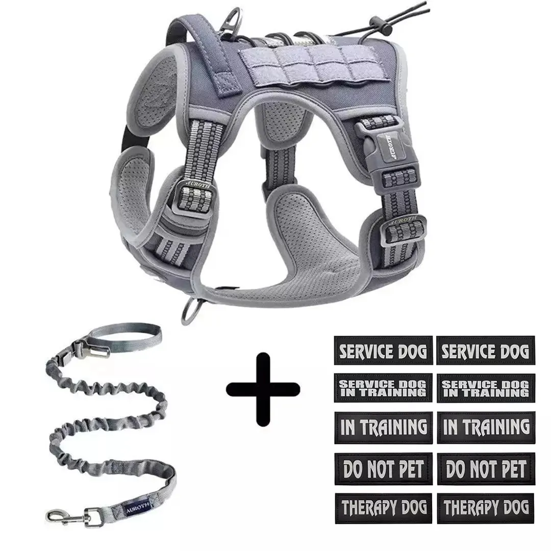 No-Pull Harness Starter Pack V1