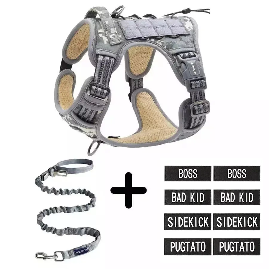 No-Pull Harness Starter Pack V1