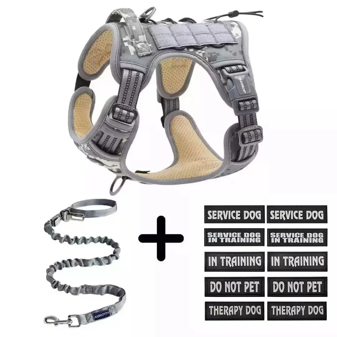 No-Pull Harness Starter Pack V1