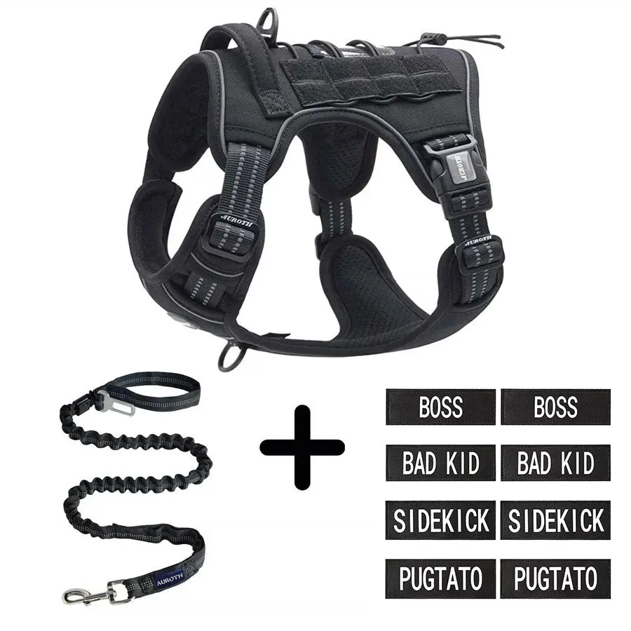 No-Pull Harness Starter Pack V1