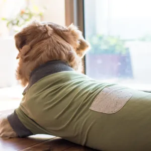 PoochMate Mint Pocket Dog T-Shirt with sleeves