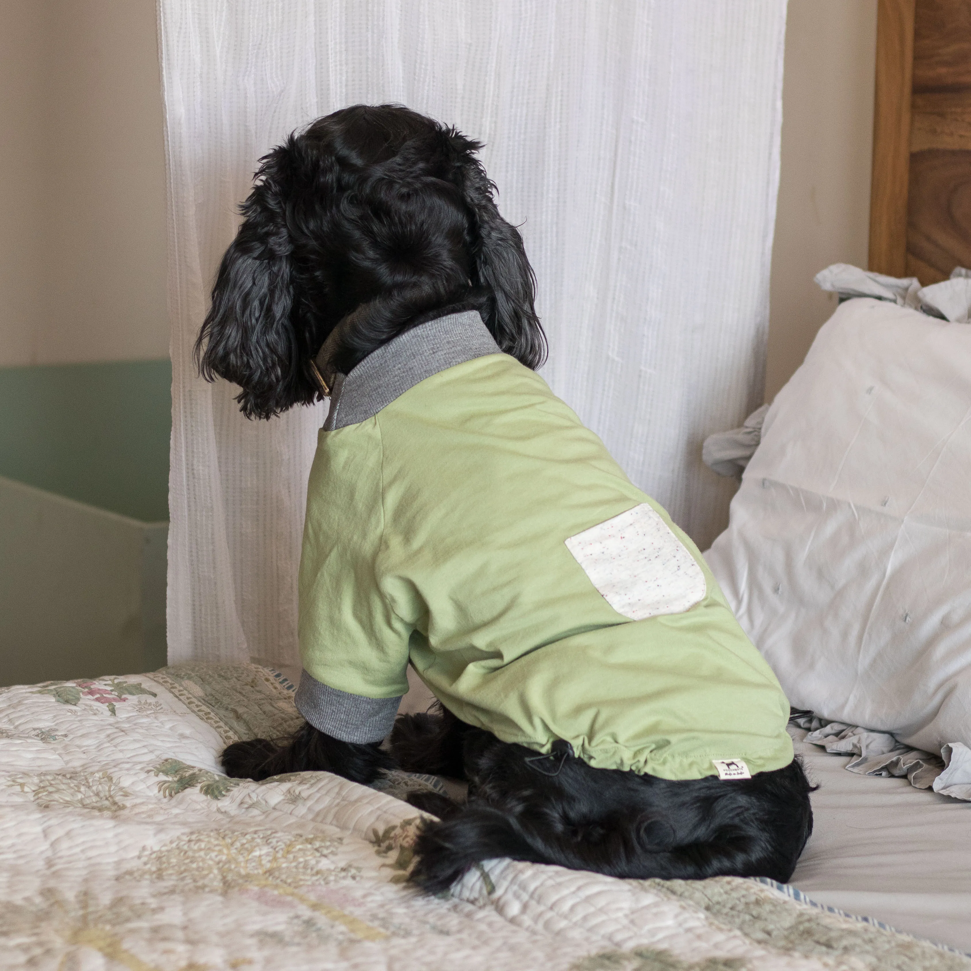 PoochMate Mint Pocket Dog T-Shirt with sleeves