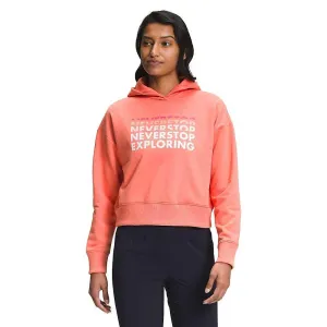 The North Face Womens Logo Play Hoodie